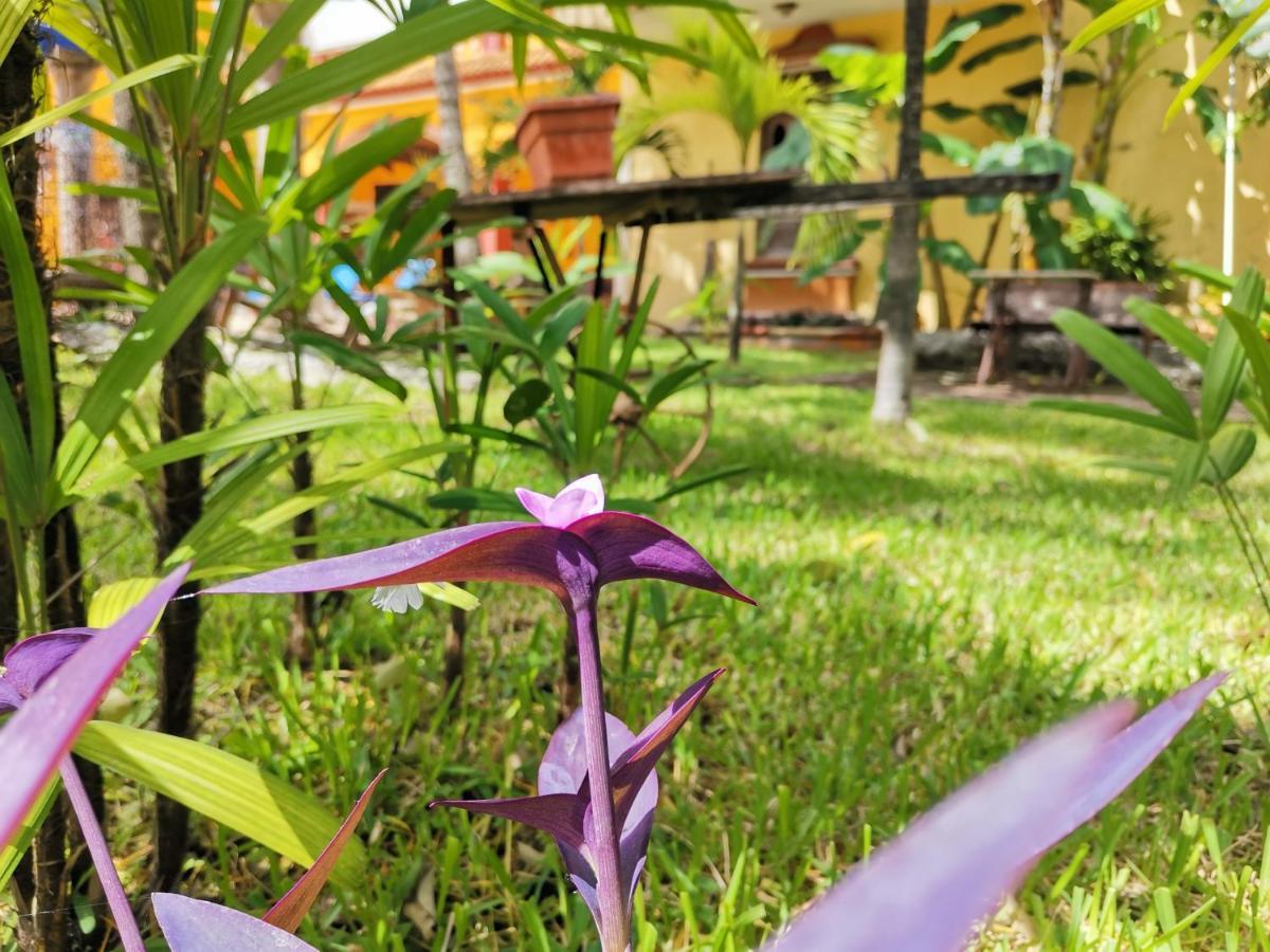 Hotel Hacienda Valentina Playa del Carmen Exterior foto